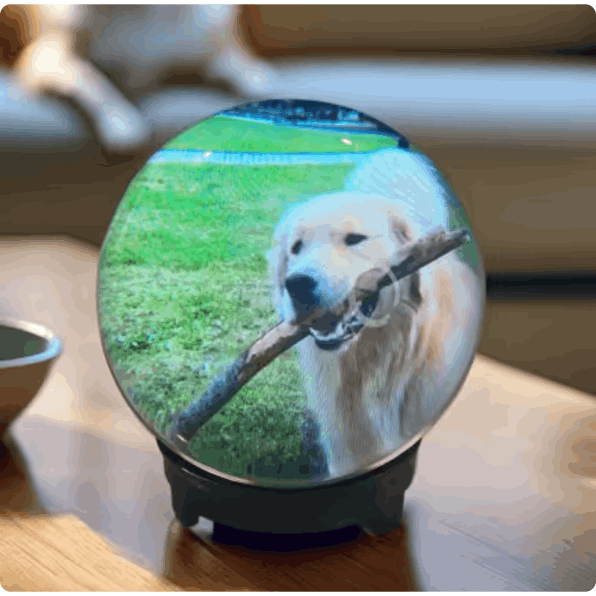 Memory Pearl user David R.